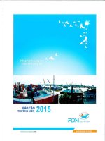 Báo cáo thường niên năm 2015 - Công ty Cổ phần Cảng Đồng Nai