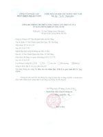 Báo cáo tài chính quý 1 năm 2014 - Công ty Cổ phần Xây lắp Phát triển Nhà Đà Nẵng