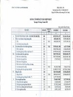 Báo cáo tài chính hợp nhất quý 4 năm 2012 - Tổng Công ty Gas Petrolimex-CTCP