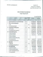 Báo cáo tài chính hợp nhất quý 1 năm 2013 - Tổng Công ty Gas Petrolimex-CTCP