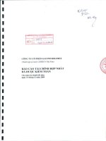 Báo cáo tài chính hợp nhất năm 2009 (đã kiểm toán) - Tổng Công ty Gas Petrolimex-CTCP