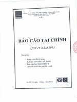 Báo cáo tài chính công ty mẹ quý 4 năm 2013 - Công ty Cổ phần Kinh doanh Khí hóa lỏng Miền Nam
