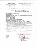 Báo cáo tài chính quý 2 năm 2015 (đã soát xét) - Công ty Cổ phần Dịch vụ Hàng hóa Nội Bài