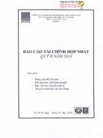 Báo cáo tài chính hợp nhất quý 2 năm 2014 - Công ty Cổ phần Kinh doanh Khí hóa lỏng Miền Nam