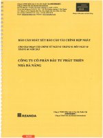 Báo cáo tài chính hợp nhất quý 2 năm 2015 (đã soát xét) - Công ty Cổ phần Đầu tư Phát triển Nhà Đà Nẵng