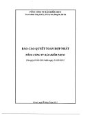 Báo cáo tài chính hợp nhất quý 1 năm 2013 - Tổng Công ty cổ phần Bảo hiểm Petrolimex