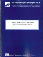 Báo cáo tài chính công ty mẹ năm 2015 (đã kiểm toán) - Công ty Cổ phần Đầu tư Cầu đường CII
