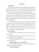 Phân tích tình hình sử dụng vốn lưu động và biện pháp nâng cao hiệu quả sử dụng vốn lưu động tại công ty TNHH hả an” 