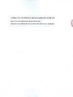 Báo cáo tài chính quý 2 năm 2014 (đã soát xét) - Công ty Cổ phần Chứng khoán Nam AN