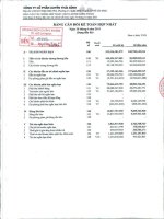 Báo cáo tài chính hợp nhất quý 2 năm 2011 - Công ty Cổ phần Tập đoàn PAN