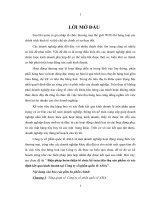 Biện pháp hoàn thiện tổ chức kế toán tiêu thụ sản phẩm và xác định kết quả kinh doanh tại công ty cổ phần quốc tế ASIA 