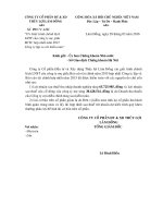 Báo cáo tài chính hợp nhất năm 2015 (đã kiểm toán) - Công ty Cổ phần Đầu tư và Xây dựng Thủy lợi Lâm Đồng