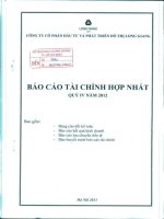 Báo cáo tài chính hợp nhất quý 4 năm 2012 - Công ty cổ phần Đầu tư và Phát triển Đô thị Long Giang