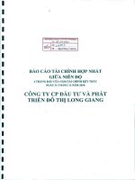 Báo cáo tài chính hợp nhất quý 2 năm 2010 - Công ty cổ phần Đầu tư và Phát triển Đô thị Long Giang