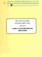 Báo cáo tài chính năm 2004 (đã kiểm toán) - Công ty cổ phần Điện nhẹ Viễn thông