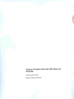 Báo cáo tài chính quý 1 năm 2013 - Công ty cổ phần Phát triển Bất động sản Phát Đạt