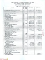 Báo cáo tài chính quý 2 năm 2014 - CTCP Xây lắp Cơ khí và Lương thực Thực phẩm