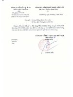 Báo cáo tài chính quý 2 năm 2011 - Công ty Cổ phần Đầu tư và Xây dựng Thủy lợi Lâm Đồng