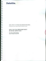 Báo cáo tài chính hợp nhất năm 2014 (đã kiểm toán) - Tổng Công ty cổ phần Bảo hiểm Petrolimex
