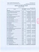 Báo cáo tài chính quý 1 năm 2013 - Công ty cổ phần Chứng khoán Liên Việt