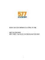 Báo cáo tài chính công ty mẹ quý 2 năm 2015 - Công ty Cổ phần Đầu tư Năm Bảy Bảy