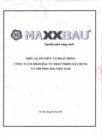 Bản điều lệ - Công ty cổ phần Đầu tư Phát triển Xây dựng và Thương mại Việt Nam