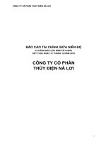 Báo cáo tài chính quý 2 năm 2010 (đã kiểm toán) - Công ty Cổ phần Thủy điện Nà Lơi