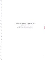 Báo cáo tài chính quý 2 năm 2013 (đã soát xét) - Công ty Cổ phần Xây dựng 565