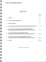 Báo cáo tài chính hợp nhất quý 2 năm 2012 (đã soát xét) - Công ty Cổ phần Tập đoàn PAN