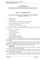 Báo cáo thường niên năm 2012 - Công ty Cổ phần Gạch Ngói Nhị Hiệp