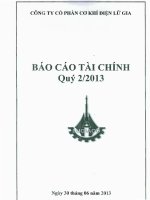 Báo cáo tài chính quý 2 năm 2013 - Công ty Cổ phần Đầu tư Cầu đường CII