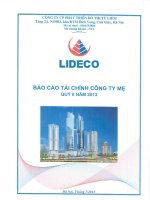 Báo cáo tài chính công ty mẹ quý 2 năm 2013 - Công ty Cổ phần Phát triển Đô thị Từ Liêm