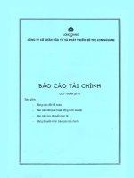 Báo cáo tài chính công ty mẹ quý 1 năm 2011 - Công ty cổ phần Đầu tư và Phát triển Đô thị Long Giang