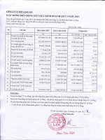 Báo cáo tài chính quý 1 năm 2015 - Công ty Cổ phần Bột giặt Lix