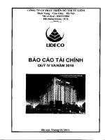 Báo cáo tài chính công ty mẹ quý 4 năm 2010 - Công ty Cổ phần Phát triển Đô thị Từ Liêm