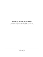 Báo cáo tài chính hợp nhất quý 2 năm 2009 (đã soát xét) - Công ty Cổ phần Mía đường Lam Sơn