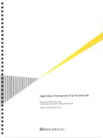 Báo cáo tài chính công ty mẹ quý 2 năm 2011 (đã soát xét) - Ngân hàng Thương mại Cổ phần Quân đội