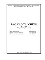 Báo cáo tài chính quý 1 năm 2011 - Công ty Cổ phần Khai khoáng và Cơ khí Hữu nghị Vĩnh Sinh