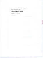 Báo cáo tài chính hợp nhất quý 2 năm 2014 - Công ty Cổ phần Tập đoàn PAN