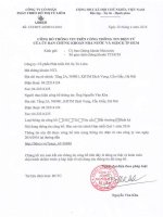 Báo cáo tài chính hợp nhất quý 1 năm 2016 - Công ty Cổ phần Phát triển Đô thị Từ Liêm