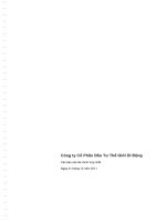 Báo cáo tài chính hợp nhất năm 2011 (đã kiểm toán) - Công ty cổ phần Đầu tư Thế giới Di động