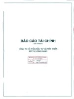 Báo cáo tài chính công ty mẹ quý 1 năm 2013 - Công ty cổ phần Đầu tư và Phát triển Đô thị Long Giang