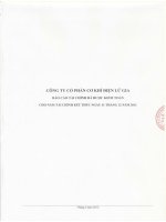 Báo cáo tài chính năm 2011 (đã kiểm toán) - Công ty Cổ phần Đầu tư Cầu đường CII