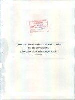 Báo cáo tài chính hợp nhất quý 2 năm 2015 - Công ty cổ phần Đầu tư và Phát triển Đô thị Long Giang