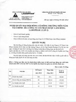 Nghị quyết Đại hội cổ đông thường niên năm 2012 - Công ty Cổ phần Dược Lâm Đồng - Ladophar