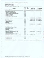 Báo cáo tài chính năm 2010 (đã kiểm toán) - Công ty Cổ phần Đầu tư và Xây dựng Thủy lợi Lâm Đồng
