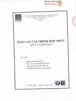Báo cáo tài chính hợp nhất quý 1 năm 2014 - Công ty Cổ phần Kinh doanh Khí hóa lỏng Miền Nam