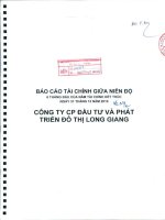 Báo cáo tài chính công ty mẹ quý 2 năm 2010 (đã soát xét) - Công ty cổ phần Đầu tư và Phát triển Đô thị Long Giang