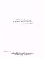 Báo cáo tài chính công ty mẹ năm 2014 (đã kiểm toán) - Công ty Cổ phần Lilama 3