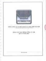 Báo cáo tài chính công ty mẹ quý 3 năm 2015 - Tổng Công ty Cổ phần Dịch vụ Tổng hợp Dầu khí